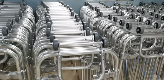 Corpo Dobrar Corpo Transportar Corpo Mortuário Travesseiro Oxford